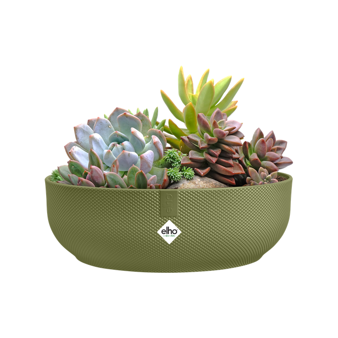 jazz bowl 28cm may green